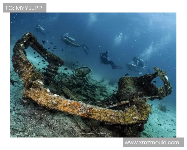 加莱诺的艺术魅力与文化影响力探讨：从历史到现代的深度解读